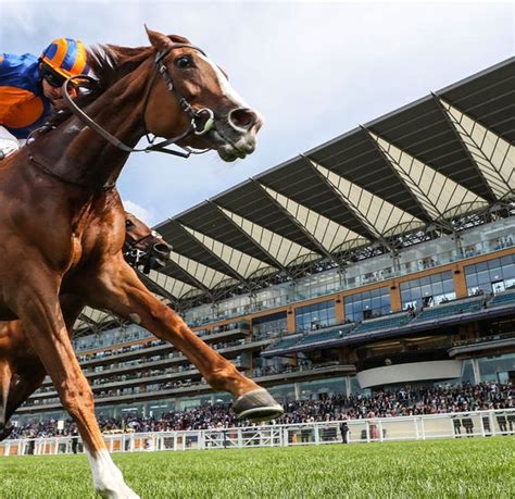 king george tips|King George VI tips & odds: Horse by horse preview, past .